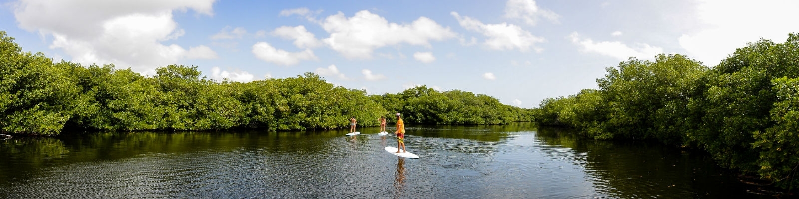 THINGS TO DO IN ARUBA